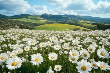 White daisies create a stunning foreground under a picturesque cloudy sky