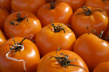 Wall Mural - Fresh orange tomatoes. Tomato texture. Yellow tomatoes stacked next to each other in a supermarket for sale.