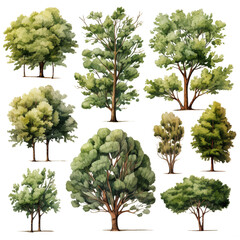 collection of lush green trees showcasing various shapes and sizes ,isolated on transparent backgrou