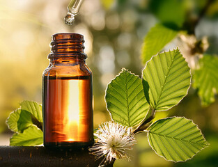 Wall Mural - Fagus sylvatica, beech, bach flower, glass pipette, transparent drop, brown bottle, nature, Bach flower essence, remedy flower, floral de Bach, emotion, intolerance, flower therapy, sun