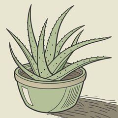 Sticker - aloe vera plant in pot