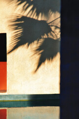 Poster - Abstract Architectural Shadows Create Minimalist Landscape with Palm Patterns and Vibrant Reflections