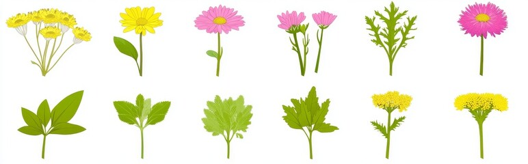 Modern set of floral design elements and a flower collection