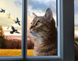 © Vitali - A cat intently watching birds from behind a window pane.
