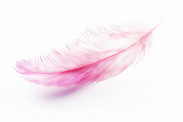 Poster - Soft pastel pink watercolor brush stroke with feathered edges isolated on white background