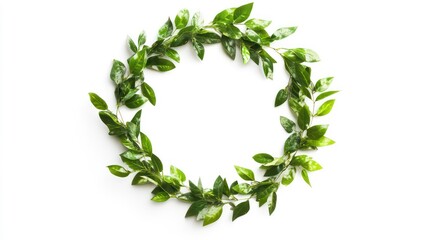 Poster - Green leaf wreath on white background. (1)