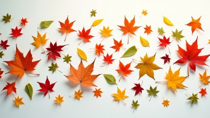 Poster - A colorful array of autumn leaves