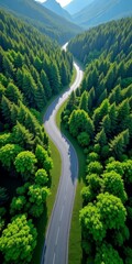 Sticker - Serpentine highway amidst lush evergreen forest