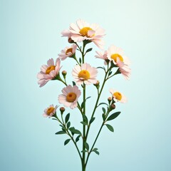 Poster - A delicate, pale pink flower with yellow centers and slender green stems