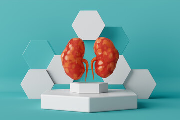 Fototapete - Abstract Human Kidneys Anatomy Structure on a Podium. 3d Rendering