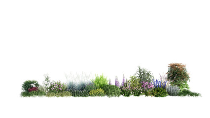 Wall Mural - 3d rendering illustration nature meadow bush on lawn grass field beautiful plant on isolate backgrou