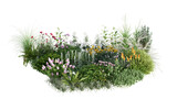 3d rendering illustration nature meadow bush on lawn grass field beautiful plant on isolate background landscape