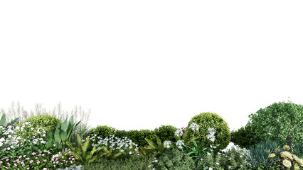 Wall Mural - 3d rendering illustration nature meadow bush on lawn grass field beautiful plant on isolate backgrou