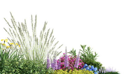 Wall Mural - 3d rendering illustration nature meadow bush on lawn grass field beautiful plant on isolate backgrou