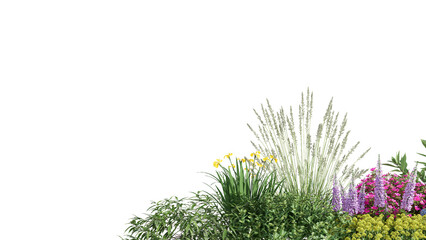 Wall Mural - 3d rendering illustration nature meadow bush on lawn grass field beautiful plant on isolate backgrou