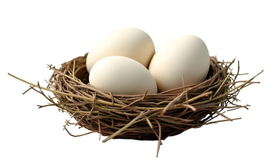 eggs in a nest isolated on transparent or white background
