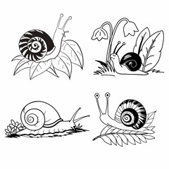 Wall Mural - snail with its shell High Quality Editable Mandala Vector Design and illustration