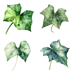Poster - Vibrant ivy leaves botanical art nature theme high detail watercolor style