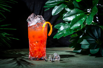 Wall Mural - Rose lady, alcoholic cocktail drink with rose cider, cranberry juice and orange juice. Dark green background with tropical leaves