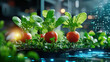 © KM - Vibrant vegetables growing in modern hydroponic garden, showcasing fresh tomatoes and leafy greens. scene highlights innovation in sustainable agriculture and technology