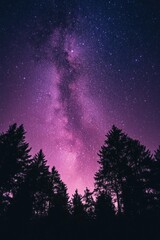 Wall Mural - night sky with stars and trees