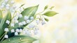 © watcharee - A delicate arrangement of white lily of the valley flowers, surrounded by lush green leaves, set against a soft, light background.