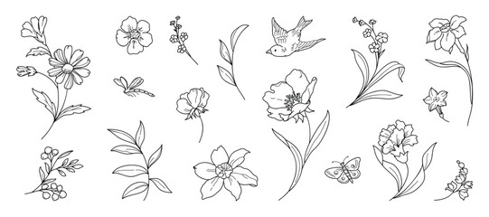 Wall Mural - Set of hand drawn botanical flower line art vector. Collection black white contour drawing of foliage, wildflower, poppy, eucalyptus, bird. Illustration design for logo, wedding, invitation, decor.