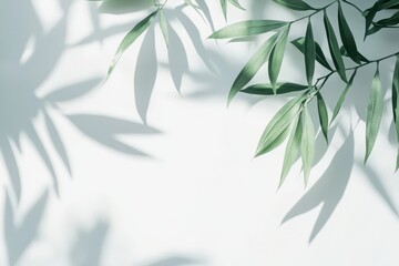 Poster - Shadows of green leaves dance gracefully on a soft white background in the warm glow of afternoon sunlight. Generative AI