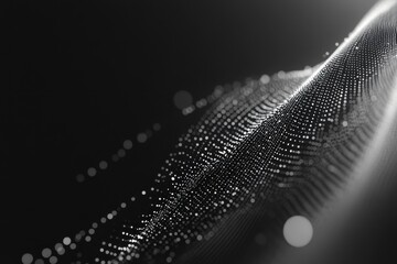 Poster - Ethereal patterns emerge in a captivating display of light and texture in a black and white web of interconnected dots. Generative AI