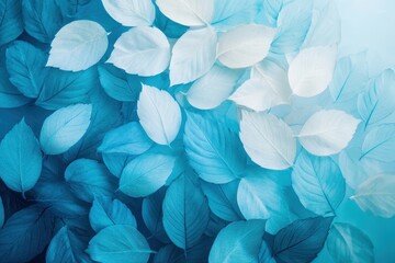 Poster - Beautiful arrangement of soft blue and white leaves floating gracefully in a tranquil environment. Generative AI