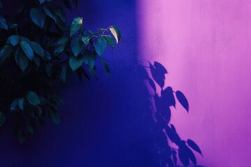 Poster - Vibrant interplay of shadows and colors on a textured wall adorned with lush green foliage. Generative AI