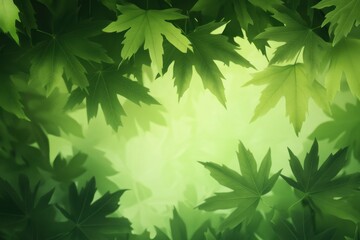 Wall Mural - Lush green maple leaves frame sunlit forest background