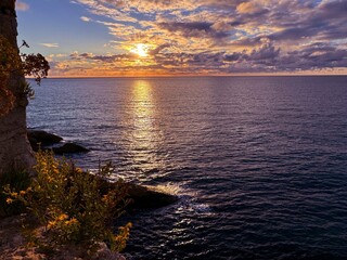 Wall Mural - sea, yellow flowers on beach and beautiful sunset sky.