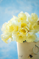 Wall Mural - bouquet of fresh spring flowers yellow daffodils on light blue wall background. copy space. easter spring background.
