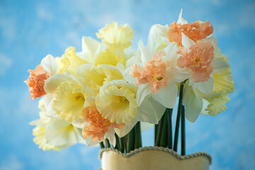 Wall Mural - bouquet of fresh spring flowers yellow daffodils on light blue wall background. copy space. easter spring background.
