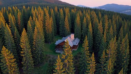 Poster - Cabin nestled among towering pines in a serene forest during sunset