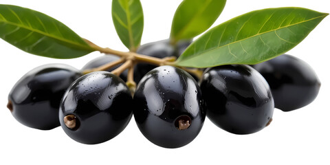 Canvas Print - fresh black olives with leaves isolated on transparent or white

