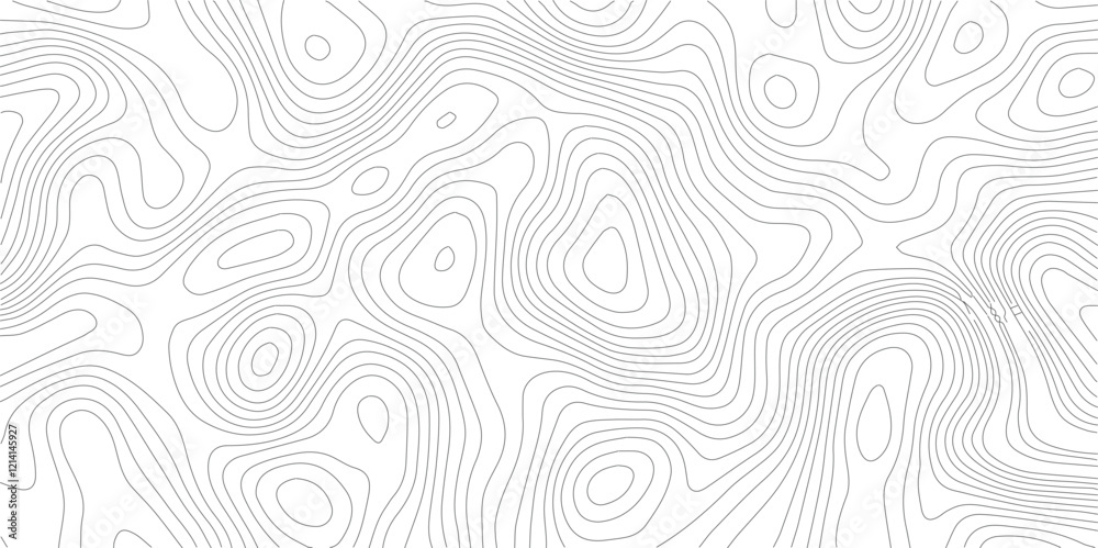 Topography Background Vector Banner Topography Background Vector