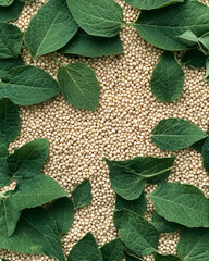 Aufkleber - A peaceful photograph of quinoa grains spread out on a bed of green leaves, symbolizing health, sustainability, and the natural origin of the food,