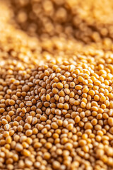 Poster - An artistic macro shot of millet grains with a shallow depth of field, focusing on the fine details and intricate patterns of each grain,