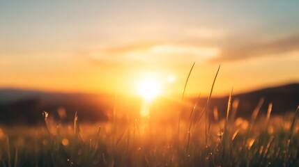 Poster - Idyllic Sunrise over DewKissed Grass in Serene Natural Landscape : Generative AI