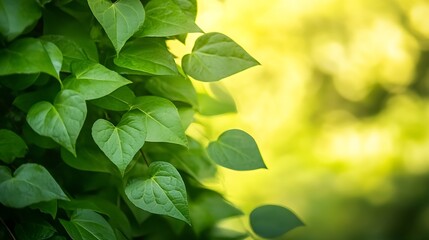 Aufkleber - Lush Green Leaves Highlighted Against a Sunlit Blurred Background : Generative AI