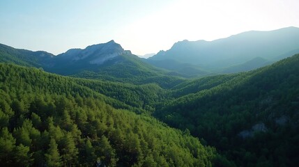 Aufkleber - Breathtaking Aerial View of Verdant Mountainous Landscape in Early Morning Light Forests and Hillsine Scenic : Generative AI