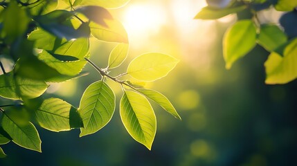Aufkleber - Sunlight Filtering Through Fresh Green Leaves Signifying Natural Growth and Renewal : Generative AI