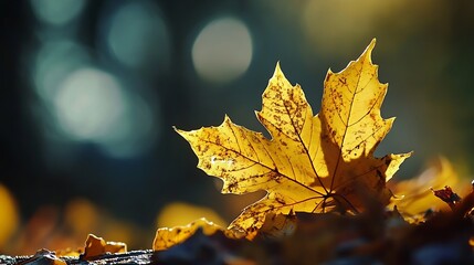 Poster - Golden Autumn Leaf Illuminated by Sunlight Against a Blurred Nature Background : Generative AI