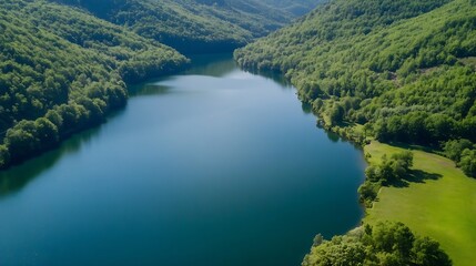 Poster - Stunning Aerial View of Tranquil Lake Surrounded by Lush Green Forests for Nature Exploration Lovers : Generative AI