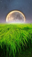 Wall Mural - Beautiful grass under the moonlight