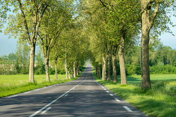 Wall Mural - Driving car on national roads in Grand Est region in France, countryside, fields and forests, agricultural industry, grain fields