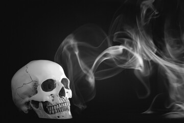 Wall Mural - Human skull on a black background in smoke.