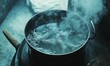 © Galina - cooking pot of boiling water